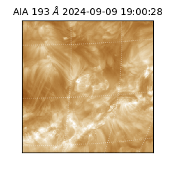 saia - 2024-09-09T19:00:28.843000
