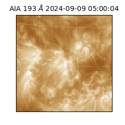saia - 2024-09-09T05:00:04.843000