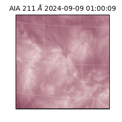 saia - 2024-09-09T01:00:09.626000