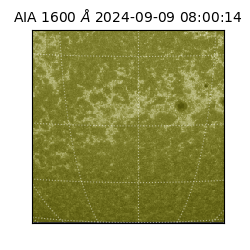saia - 2024-09-09T08:00:14.126000