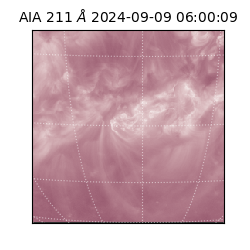 saia - 2024-09-09T06:00:09.626000