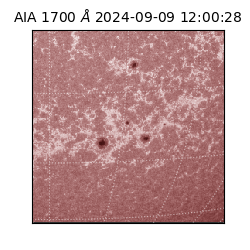 saia - 2024-09-09T12:00:28.718000