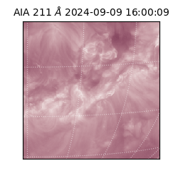 saia - 2024-09-09T16:00:09.626000