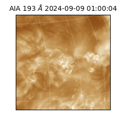 saia - 2024-09-09T01:00:04.847000