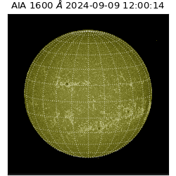 saia - 2024-09-09T12:00:14.126000