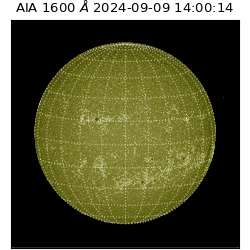 saia - 2024-09-09T14:00:14.126000