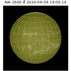 saia - 2024-09-09T19:00:14.126000