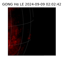 gong - 2024-09-09T02:02:42