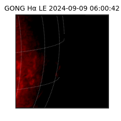 gong - 2024-09-09T06:00:42