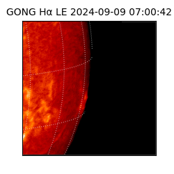 gong - 2024-09-09T07:00:42