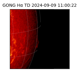 gong - 2024-09-09T11:00:22