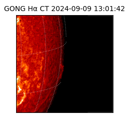 gong - 2024-09-09T13:01:42