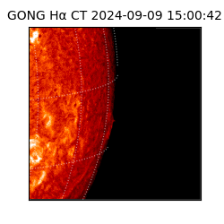 gong - 2024-09-09T15:00:42