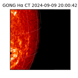 gong - 2024-09-09T20:00:42