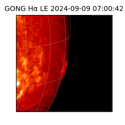 gong - 2024-09-09T07:00:42