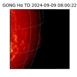 gong - 2024-09-09T08:00:22