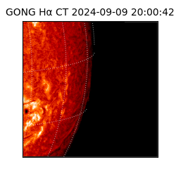 gong - 2024-09-09T20:00:42