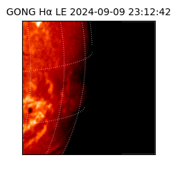 gong - 2024-09-09T23:12:42