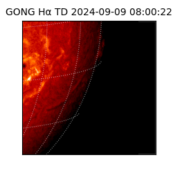 gong - 2024-09-09T08:00:22