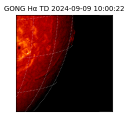 gong - 2024-09-09T10:00:22