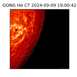 gong - 2024-09-09T19:00:42