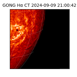 gong - 2024-09-09T21:00:42