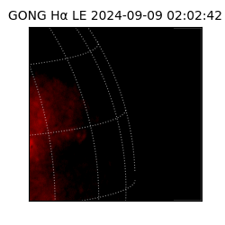 gong - 2024-09-09T02:02:42
