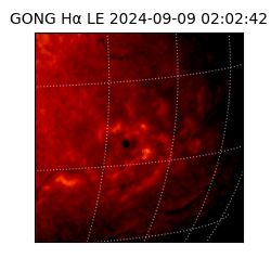 gong - 2024-09-09T02:02:42