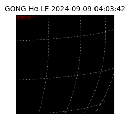 gong - 2024-09-09T04:03:42