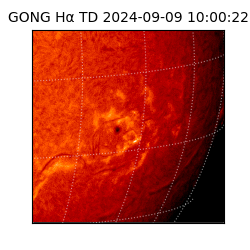 gong - 2024-09-09T10:00:22