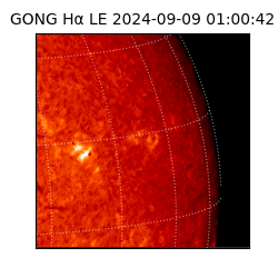 gong - 2024-09-09T01:00:42