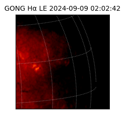 gong - 2024-09-09T02:02:42