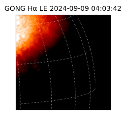 gong - 2024-09-09T04:03:42