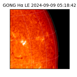 gong - 2024-09-09T05:18:42
