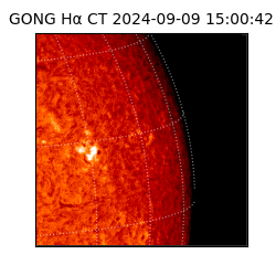 gong - 2024-09-09T15:00:42