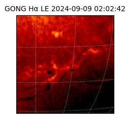 gong - 2024-09-09T02:02:42