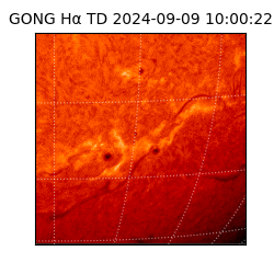 gong - 2024-09-09T10:00:22