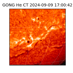 gong - 2024-09-09T17:00:42