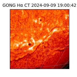 gong - 2024-09-09T19:00:42