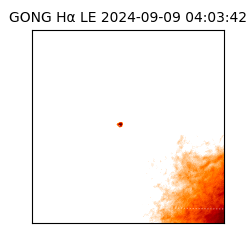 gong - 2024-09-09T04:03:42