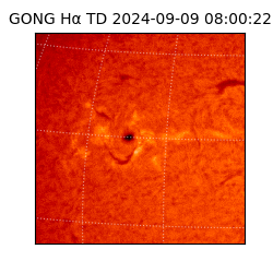 gong - 2024-09-09T08:00:22