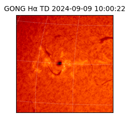 gong - 2024-09-09T10:00:22