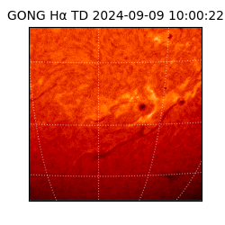 gong - 2024-09-09T10:00:22