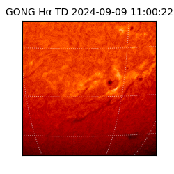 gong - 2024-09-09T11:00:22