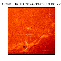 gong - 2024-09-09T10:00:22