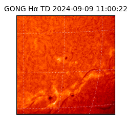 gong - 2024-09-09T11:00:22