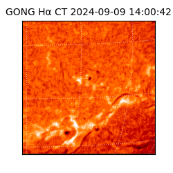 gong - 2024-09-09T14:00:42