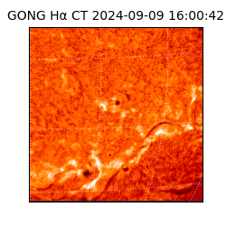 gong - 2024-09-09T16:00:42