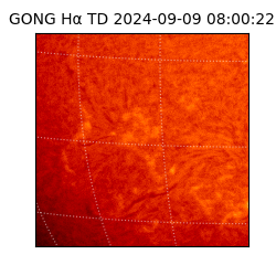 gong - 2024-09-09T08:00:22
