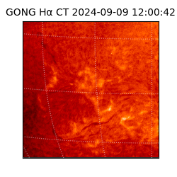 gong - 2024-09-09T12:00:42